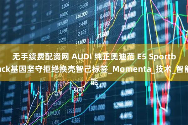 无手续费配资网 AUDI 纯正奥迪范 E5 Sportback基因坚守拒绝换壳智己标签_Momenta_技术_智能